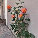 Bilocale Moderno Sabbia E Cielo - 5min Dal Mare