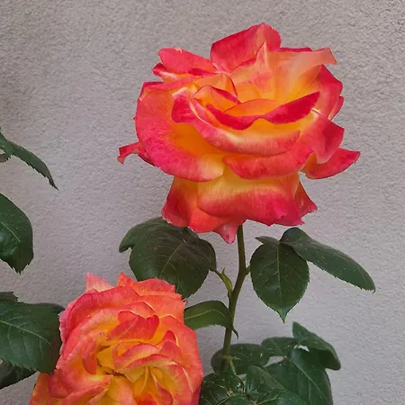 Bilocale Moderno Sabbia E Cielo - 5min Dal Mare Appartement Rimini