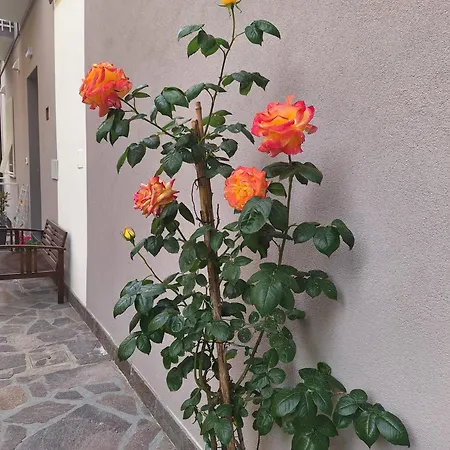 Bilocale Moderno Sabbia E Cielo - 5min Dal Mare