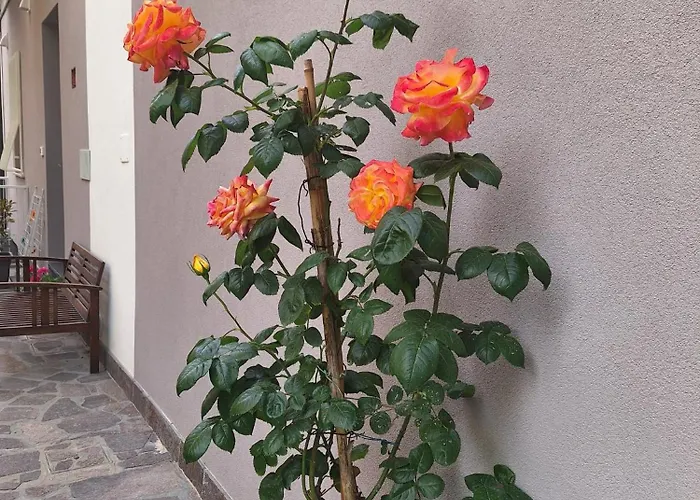 Bilocale Moderno Sabbia E Cielo - 5min Dal Mare